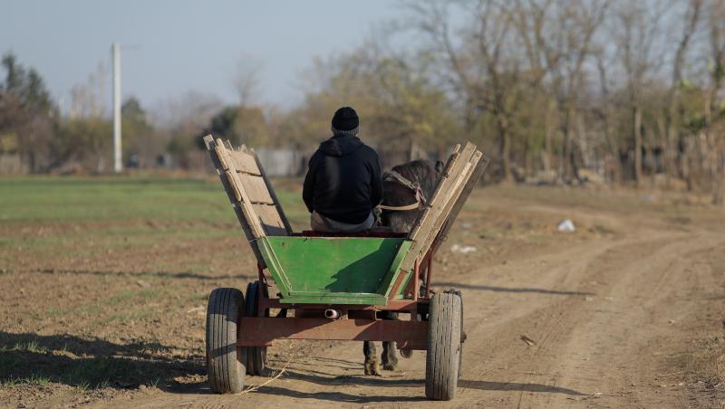 Bărbat scos mort din râul Moldova, în Suceava, după ce o căruță a fost găsită în apă