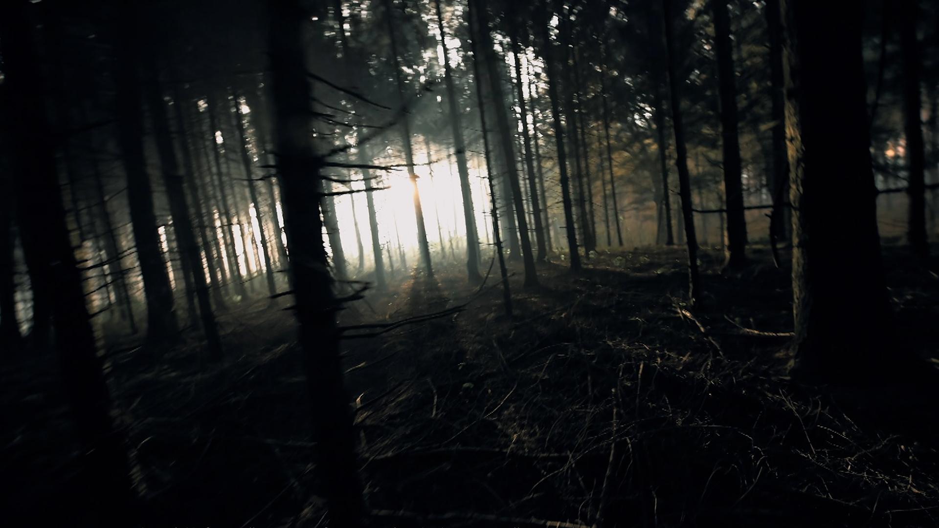 Un vasluian a fost la un pas de tragedie, după ce a fost împuşcat din greşeală, de două ori, de un amic