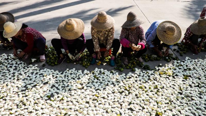 Cum au ajuns cojile uscate de mandarine să fie vândute la preţul aurului. 500 de grame costă aproape 10.000 $