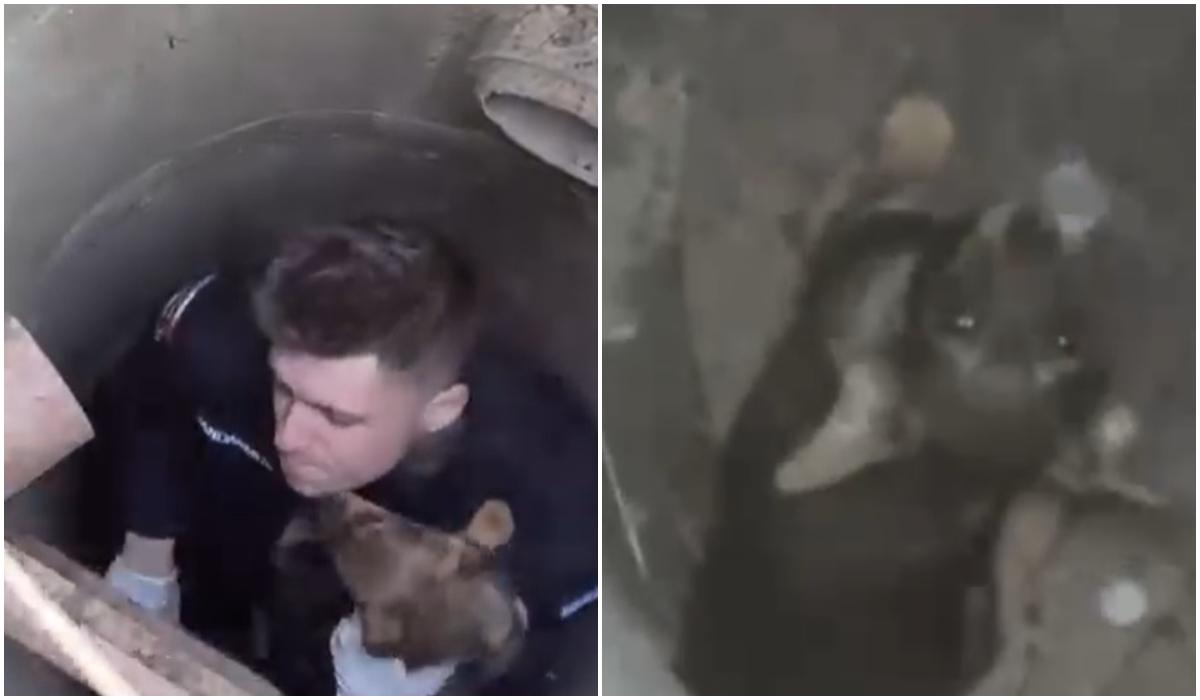 Jandarmii din Argeş au avut parte de o misiune dificilă, dar şi foarte emoţionantă.