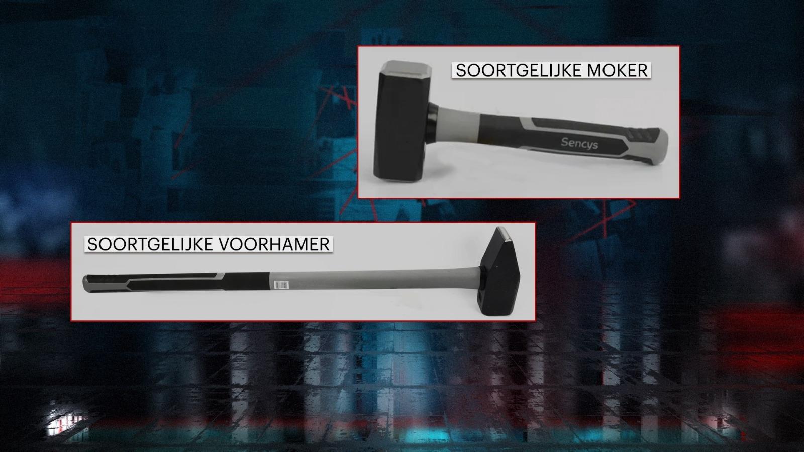 Furtul tezaurului dacic: Suspecții vor fi audiați azi în instanță. Cazierul bogat al lui Bernhard Zeeman