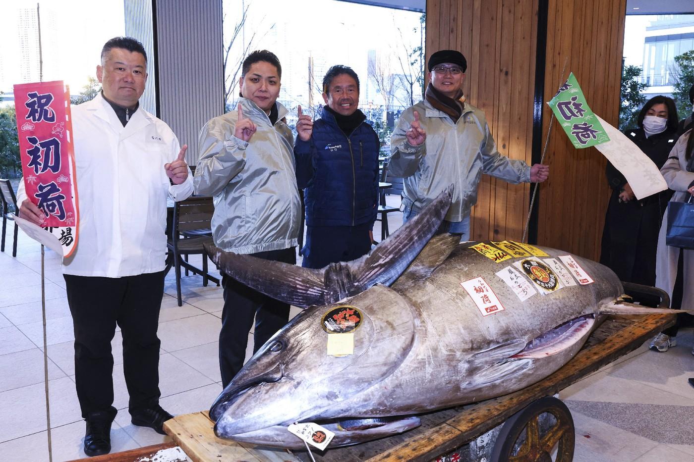 Un ton roşu a fost vândut cu aproape 1,3 milioane de euro în Japonia