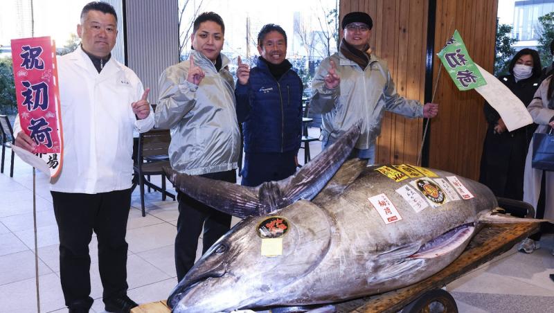 Cu cât s-a vândut la Tokyo un ton de 276 kg. Preţul uriaş nu se apropie totuşi de suma-record din 2019