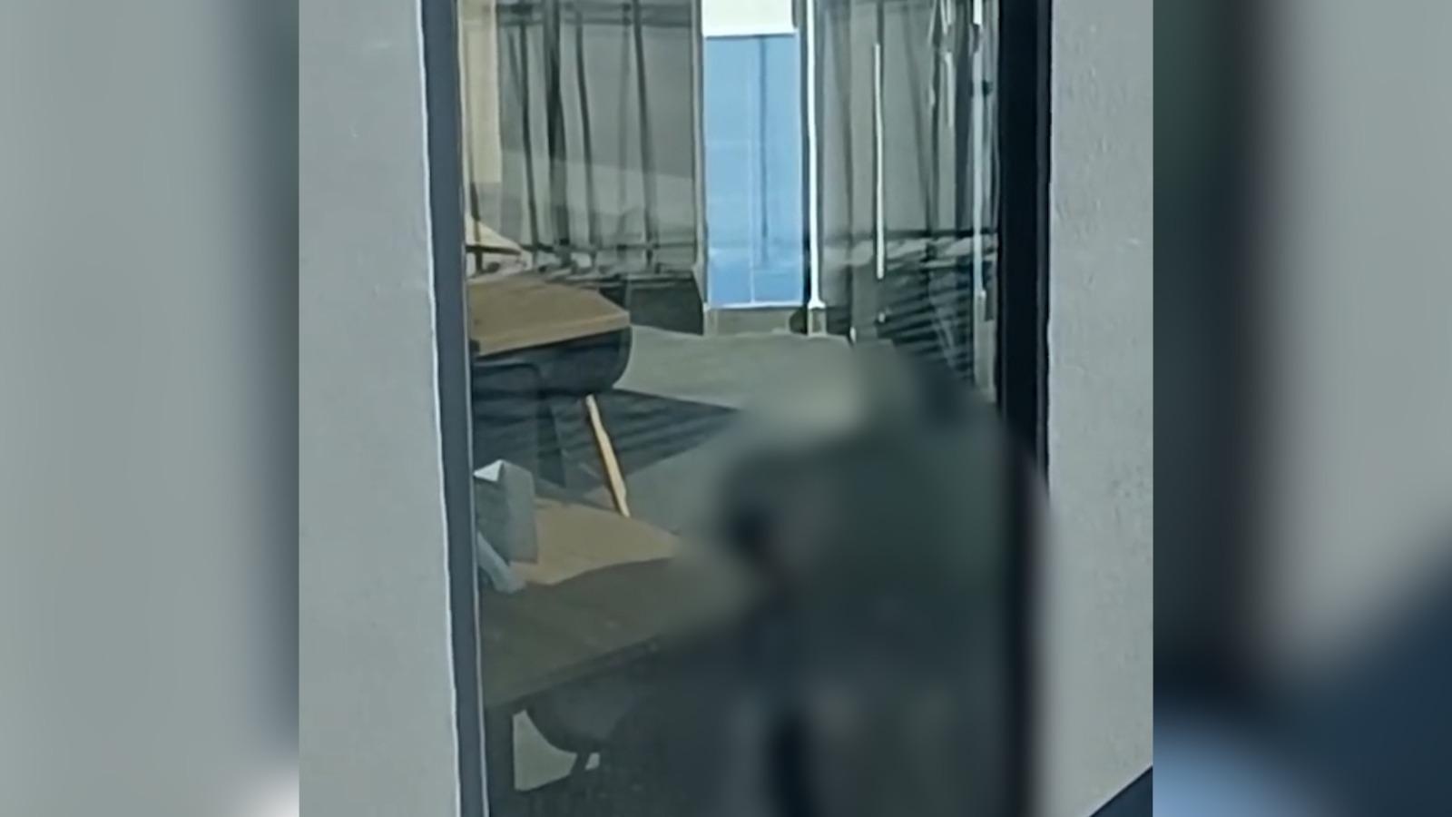 Căţel ţinut legat şi lovit cu pumnii de propriul stăpân. Imagini tulburătoare într-un restaurant din Bucureşti