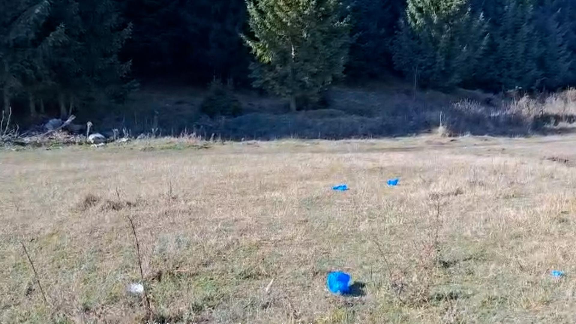 Bianka şi Tony, găsiţi morţi unul lângă altul într-o maşină. Se ştiau din copilărie şi aveau planuri de viitor