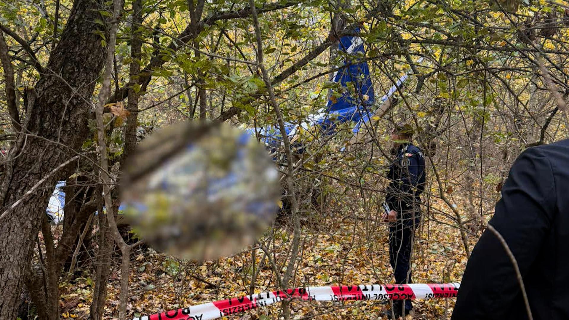 Afacerile lui Ioan Pavel, milionarul care a murit în accidentul aviatic din Vaslui