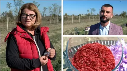 VIDEO Afacerea cu care Dorina şi Claudiu au dat lovitura: câştigul e uriaş. Preţul unui kg de "aur roşu"