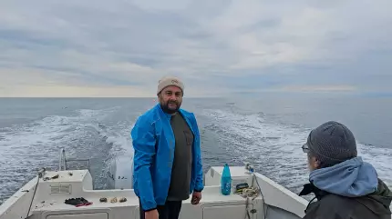 VIDEO Specia marină care s-a aclimatizat cu succes în România. Experimentul promite o nouă afacere la Marea Neagră