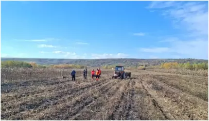 Femeie de 71 de ani, arsă de vie în timp ce curăța terenul, în Galaţi. Soțul ei octogenar, martor la tragedie