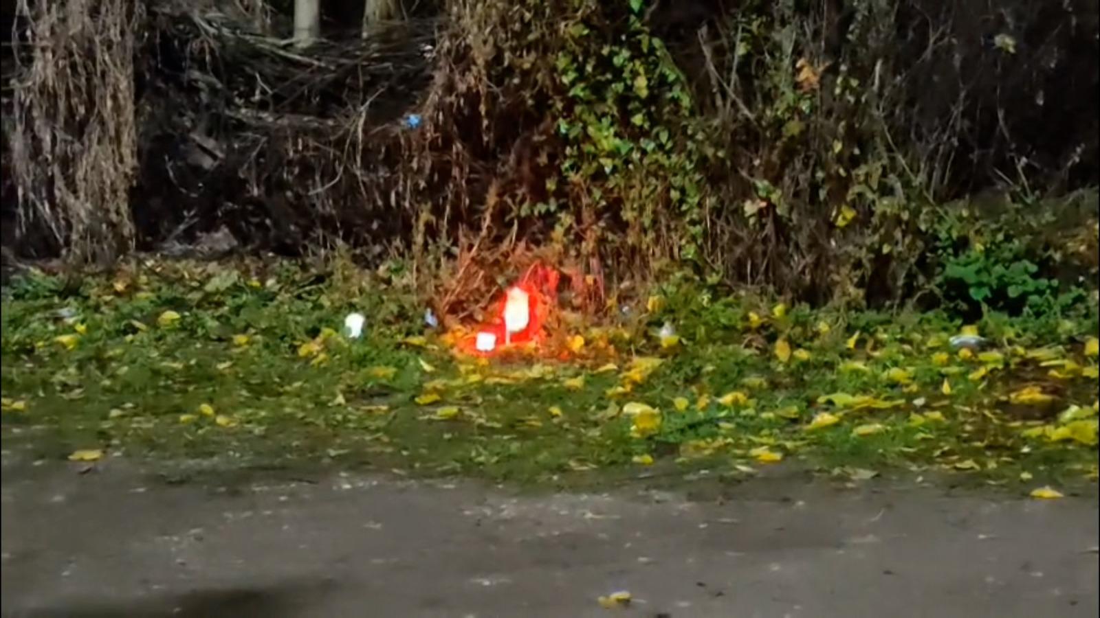 Greșeala care i-a fost fatală Mihaelei, tânăra ucisă cu copilul în brațe în Teleorman. Nu a înțeles procedura