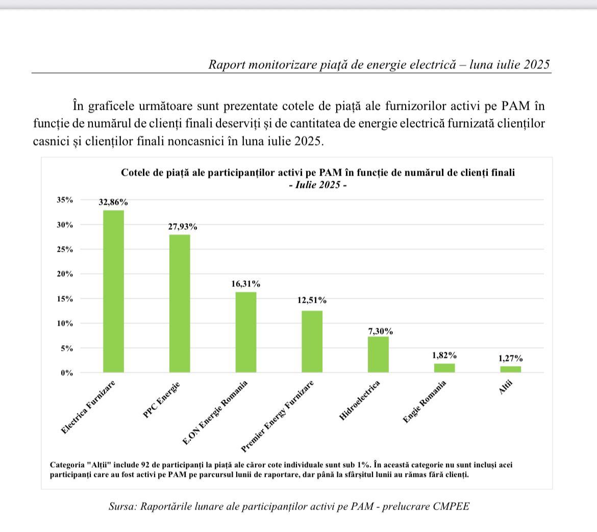 Raportările lunare ale participanţilor activi pe PAM