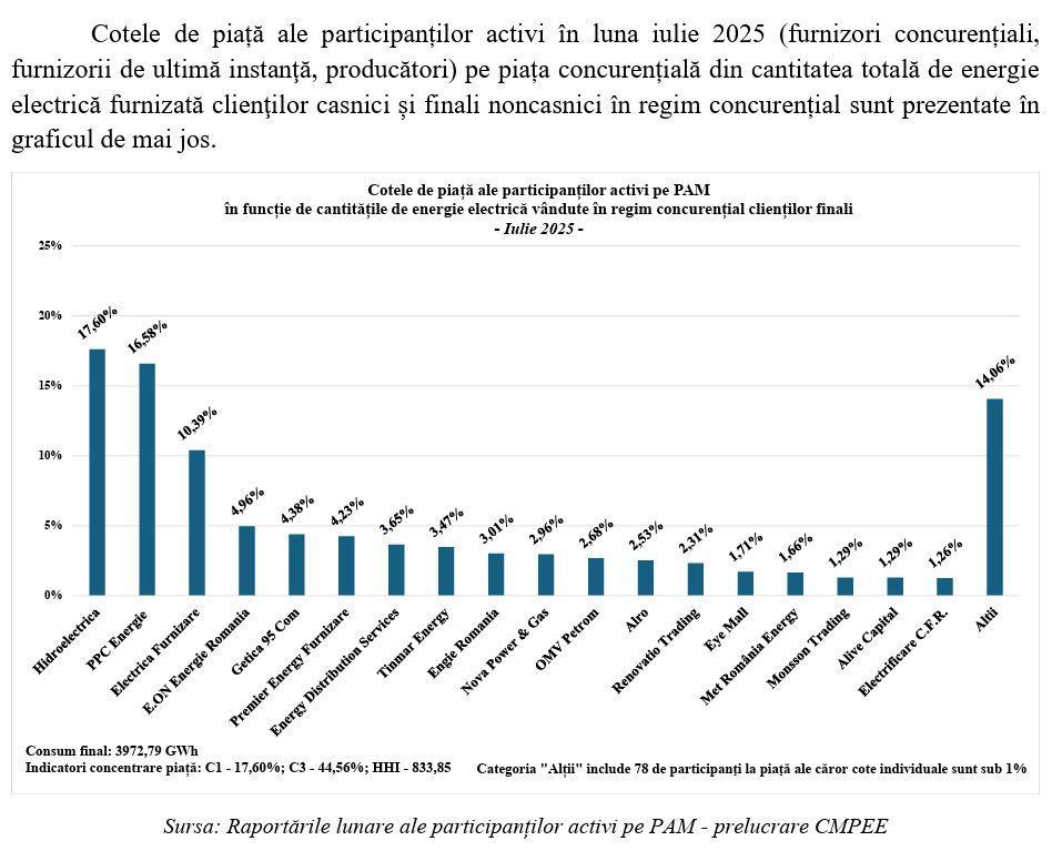 Raportările lunare ale participanţilor activi pe PAM - prelucrare CMPEE