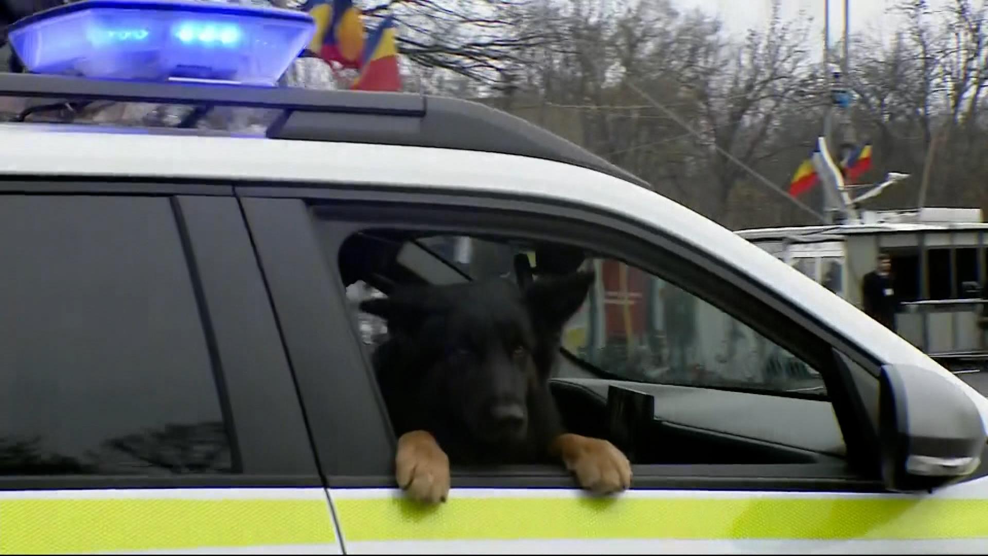 Parada de 1 Decembrie la Arcul de Triumf. Cele mai importante momente. Zeci de mii de oameni au participat