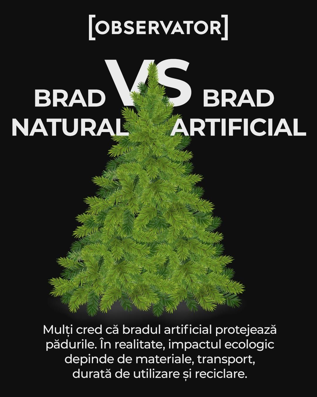 Bradul artificial nu salvează natura, ci dimpotrivă. Argumentele specialiștilor