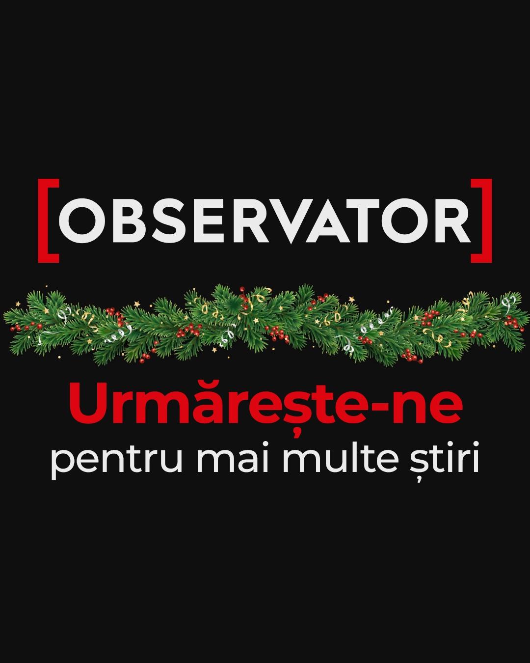 Bradul artificial nu salvează natura, ci dimpotrivă. Argumentele specialiștilor