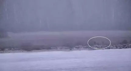 Trei soldați ruși în uniformă au intrat pe teritoriul NATO. Cum au pătruns pe teritoriul Estoniei