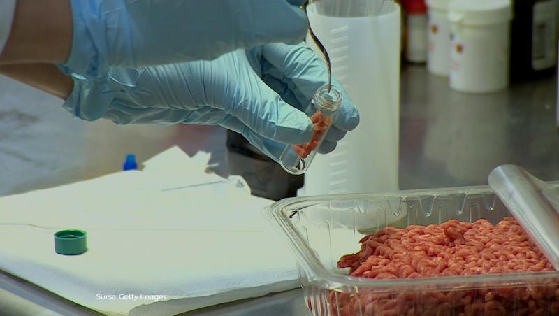 Carnea de porc, dusă la analize de laborator. Toate probele au avut salmonella