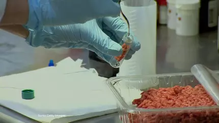 VIDEO Carnea de porc, dusă la analize de laborator. Toate probele au avut salmonella