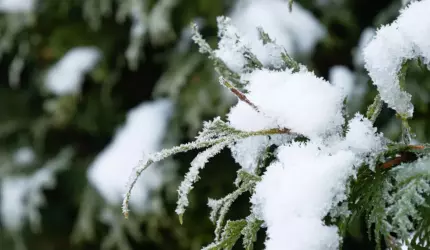 Solstiţiul de iarnă are loc astăzi şi marchează începutul iernii astronomice. Cea mai scurtă zi din an