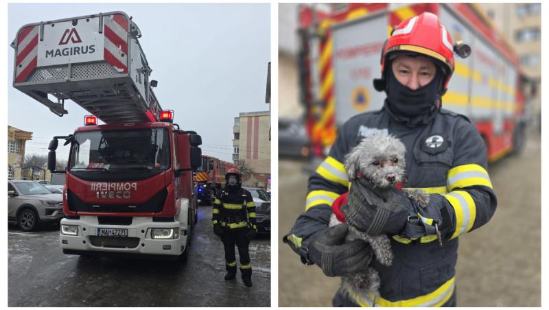 Pompierii din Giurgiu au salvat un căţeluş dintr-un apartament &icirc;n care a izbucnit un incendiu