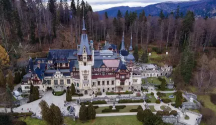 VIDEO Mai mulţi copaci din Sinaia au fost doborâţi de vântul puternic. Pompierii continuă intervenţiile