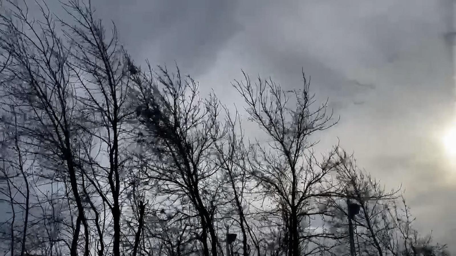 Jumătate de ţară intră în cod galben de vânt. Şi Capitala va fi 36 de ore sub alertă