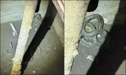 Oaspeţii nepoftiţi. Un bărbat din Tulcea s-a trezit cu doi şerpi de un metru şi jumătate în beciul casei