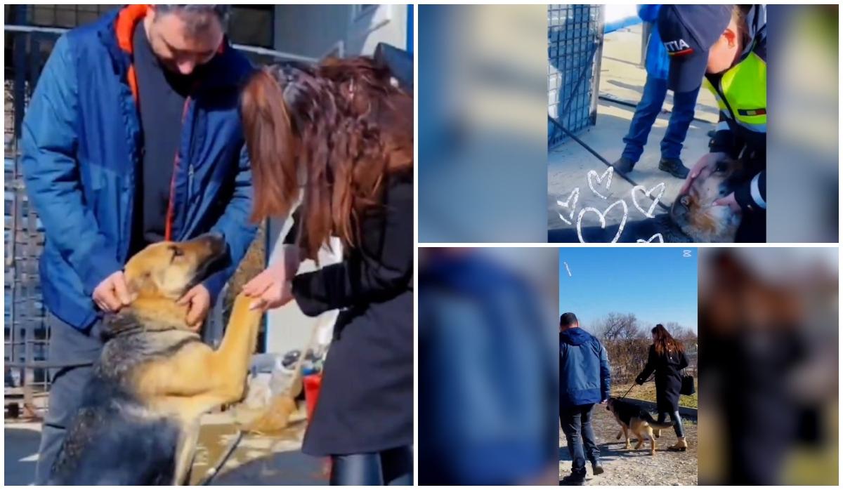 catelusa care si-a regasit stapânii  dupa doua luni