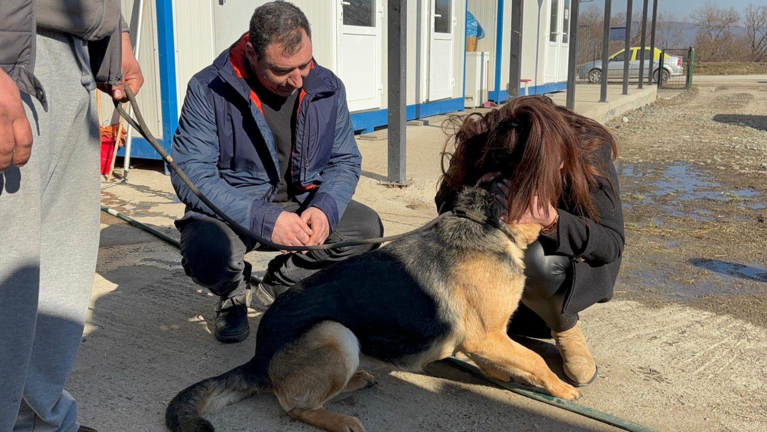 Căţeluşă pierdută de Crăciun, găsită după o lună jumătate în Hunedoara