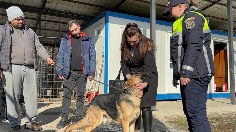 Căţeluşă pierdută de Crăciun, găsită după o lună jumătate în Hunedoara