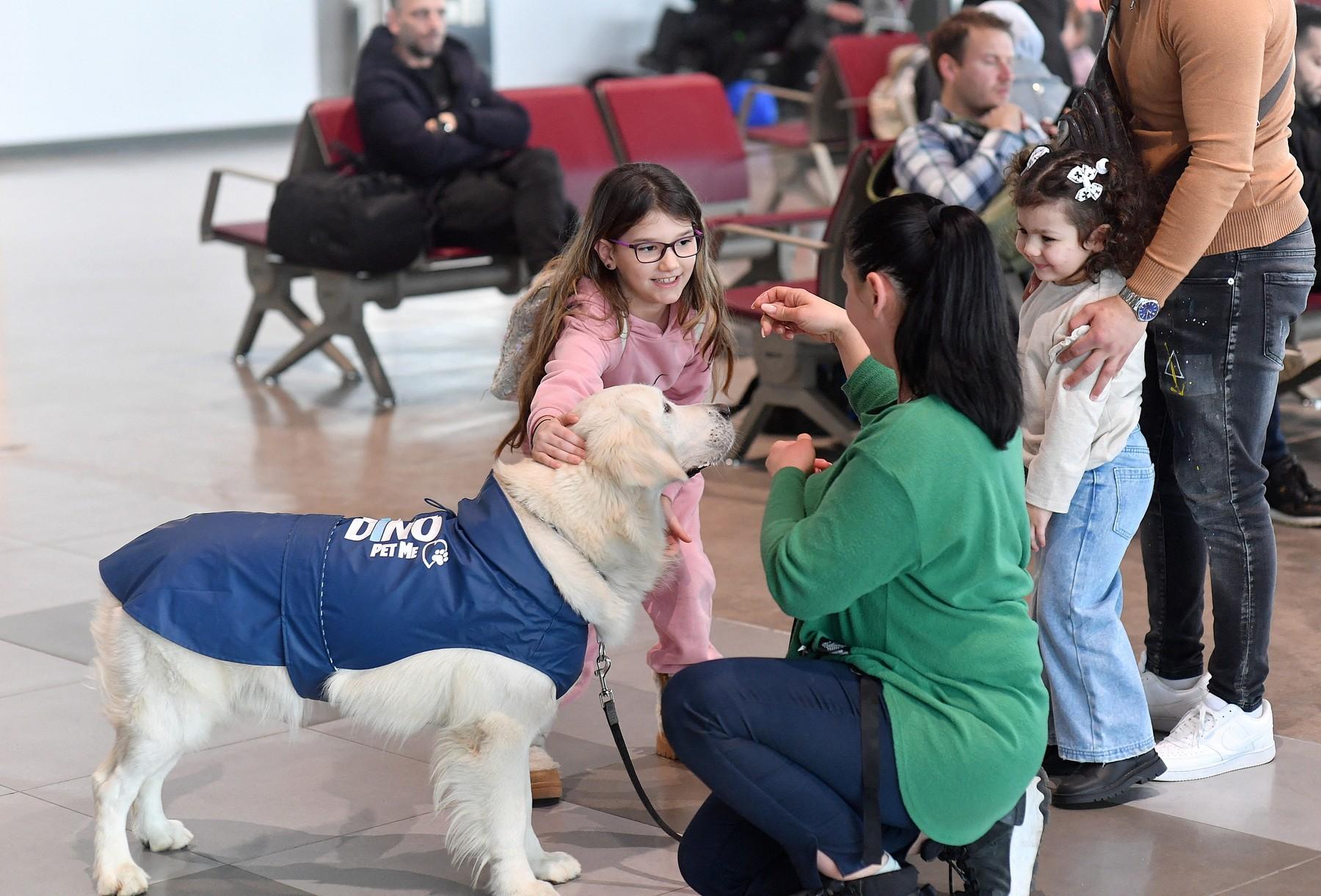 Un Golden Retriever, remediul pentru frica de zbor pe aeroportul din Skopje. Dino calmează pasagerii înainte de decolare