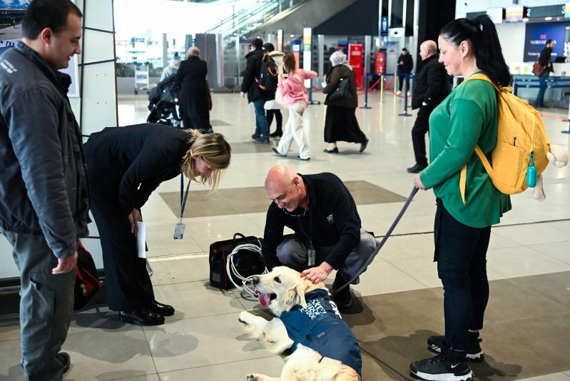 Un Golden Retriever, remediul pentru frica de zbor pe aeroportul din Skopje. Dino calmează pasagerii înainte de decolare Un Golden Retriever, remediul pentru frica de zbor pe aeroportul din Skopje. Dino calmează pasagerii înainte de decolare