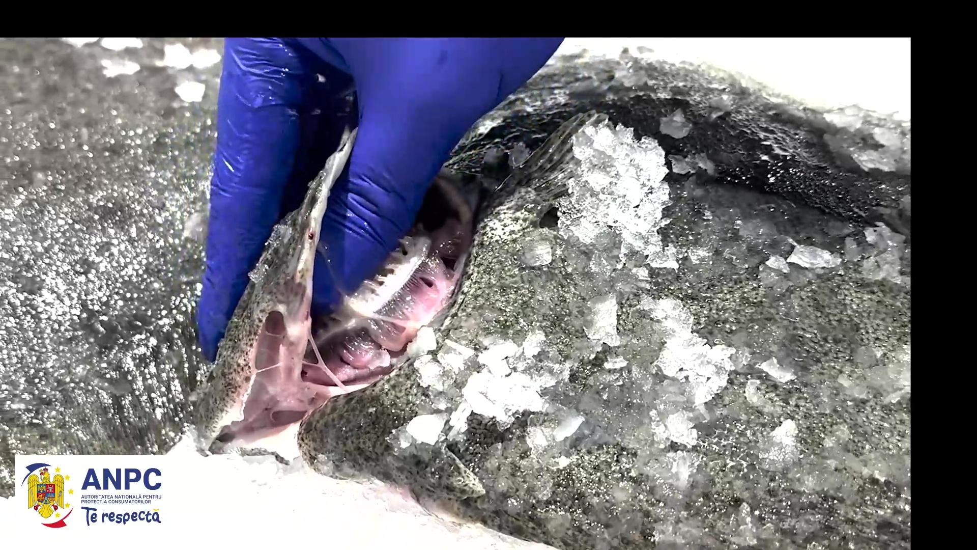 16 fast-food-uri şi magazine din Mall Băneasa, închise temporar de ANPC: mizerie în bucătării, produse expirate, frigidere insalubre