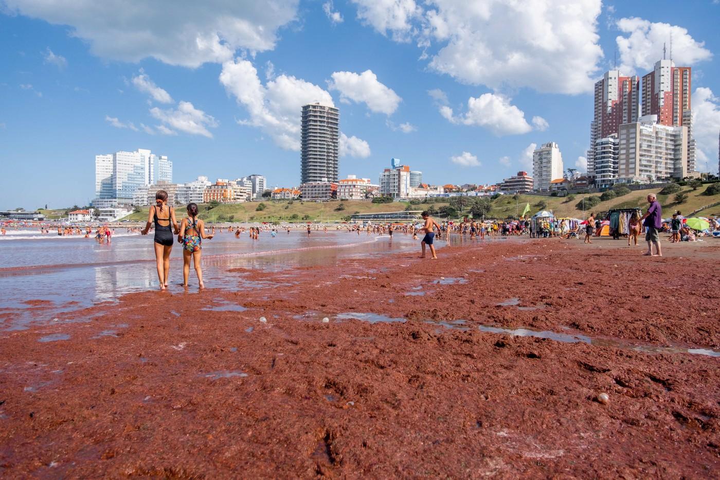 Mai multe plaje din Argentina au fost invadate de o spectaculoasă ''maree roşie''