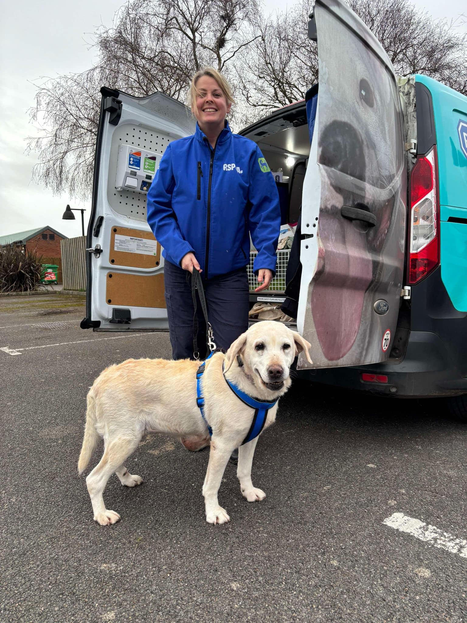 Căţeluşa Daisy s-a întors la stăpânii ei, la 7 ani de când a fost furată