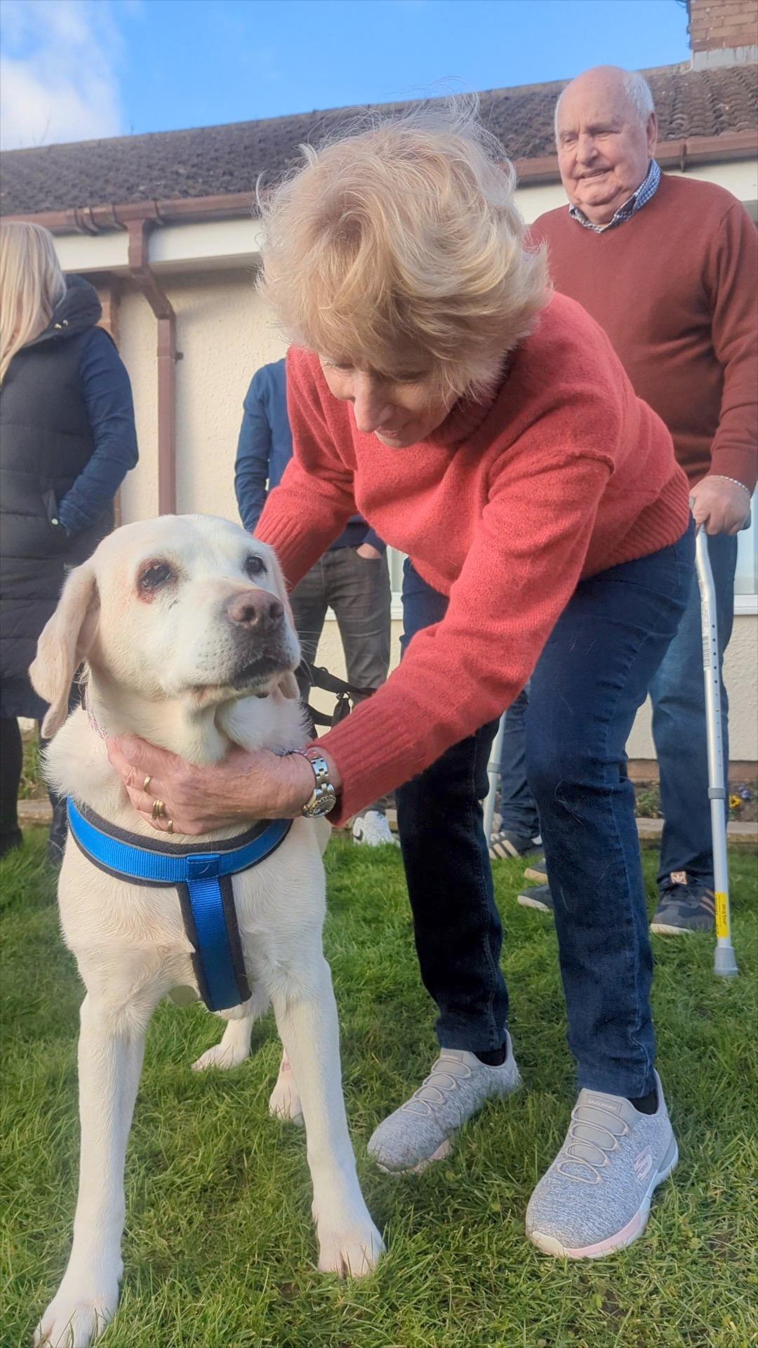 Căţeluşa Daisy s-a întors la stăpânii ei, la 7 ani de când a fost furată