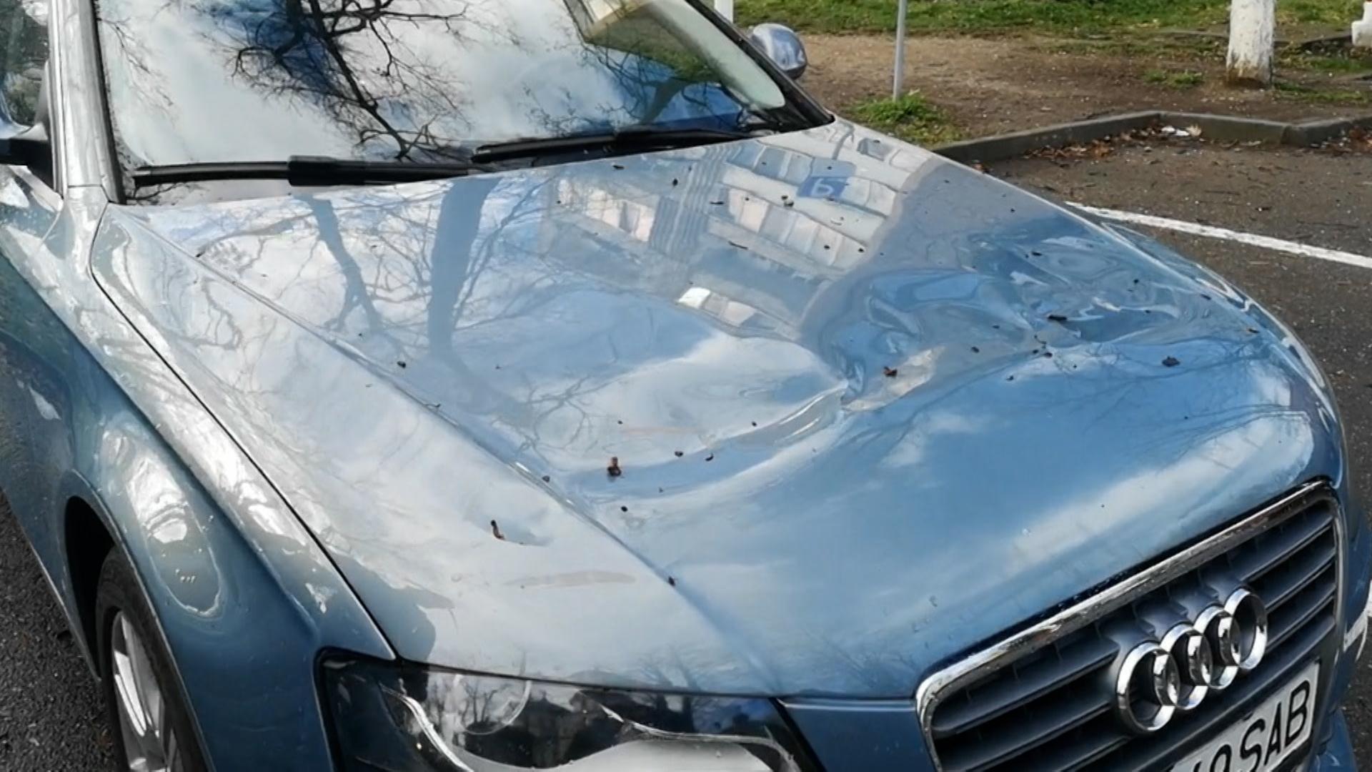 zone lovite de cod rosu