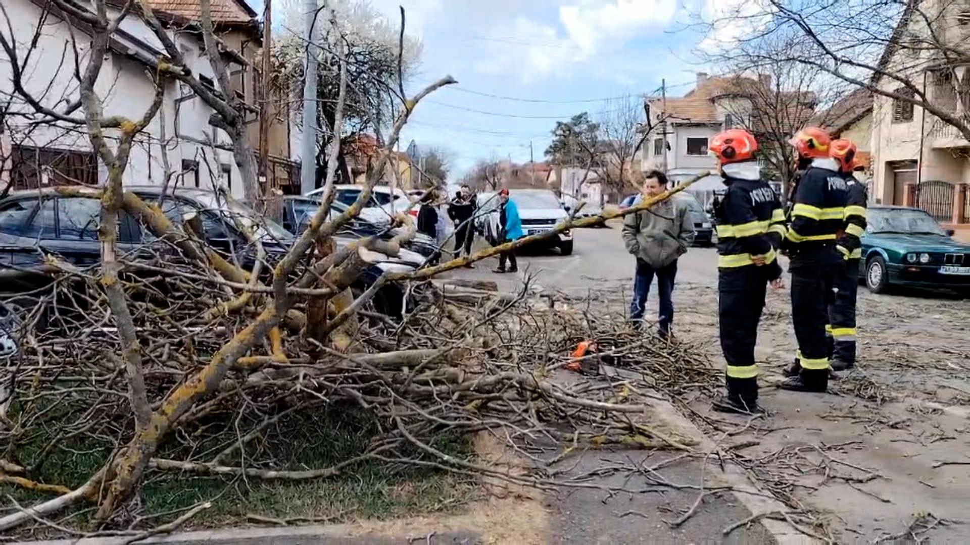 zone lovite de cod rosu