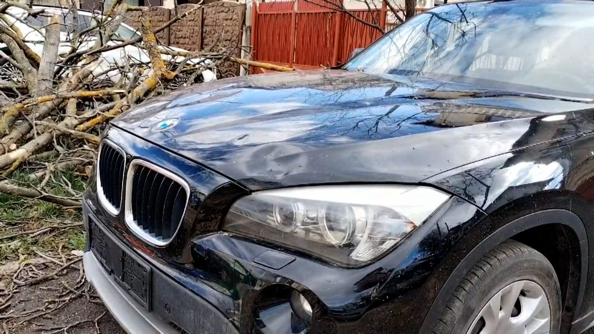 zone lovite de cod rosu