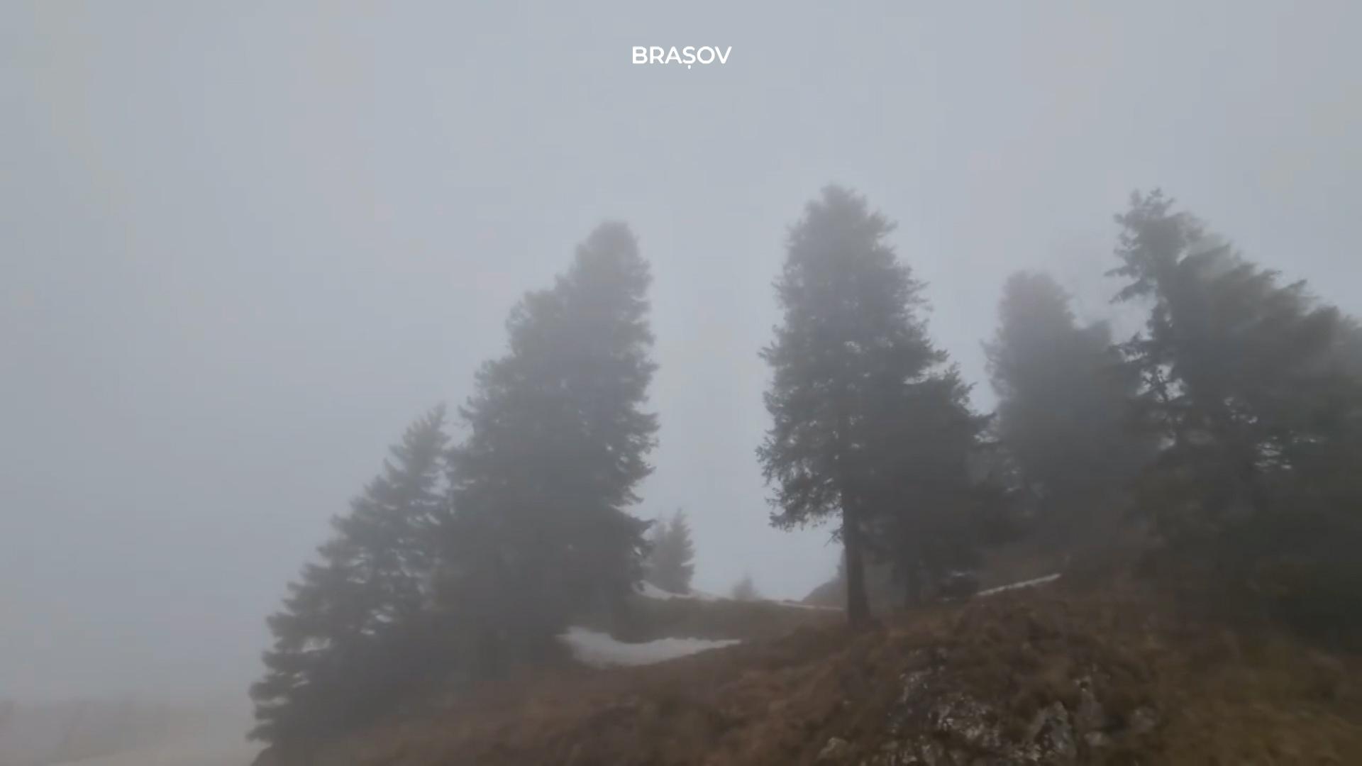 zone lovite de cod rosu