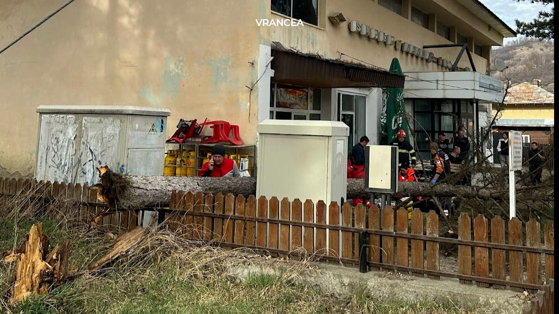 zone lovite de cod rosu