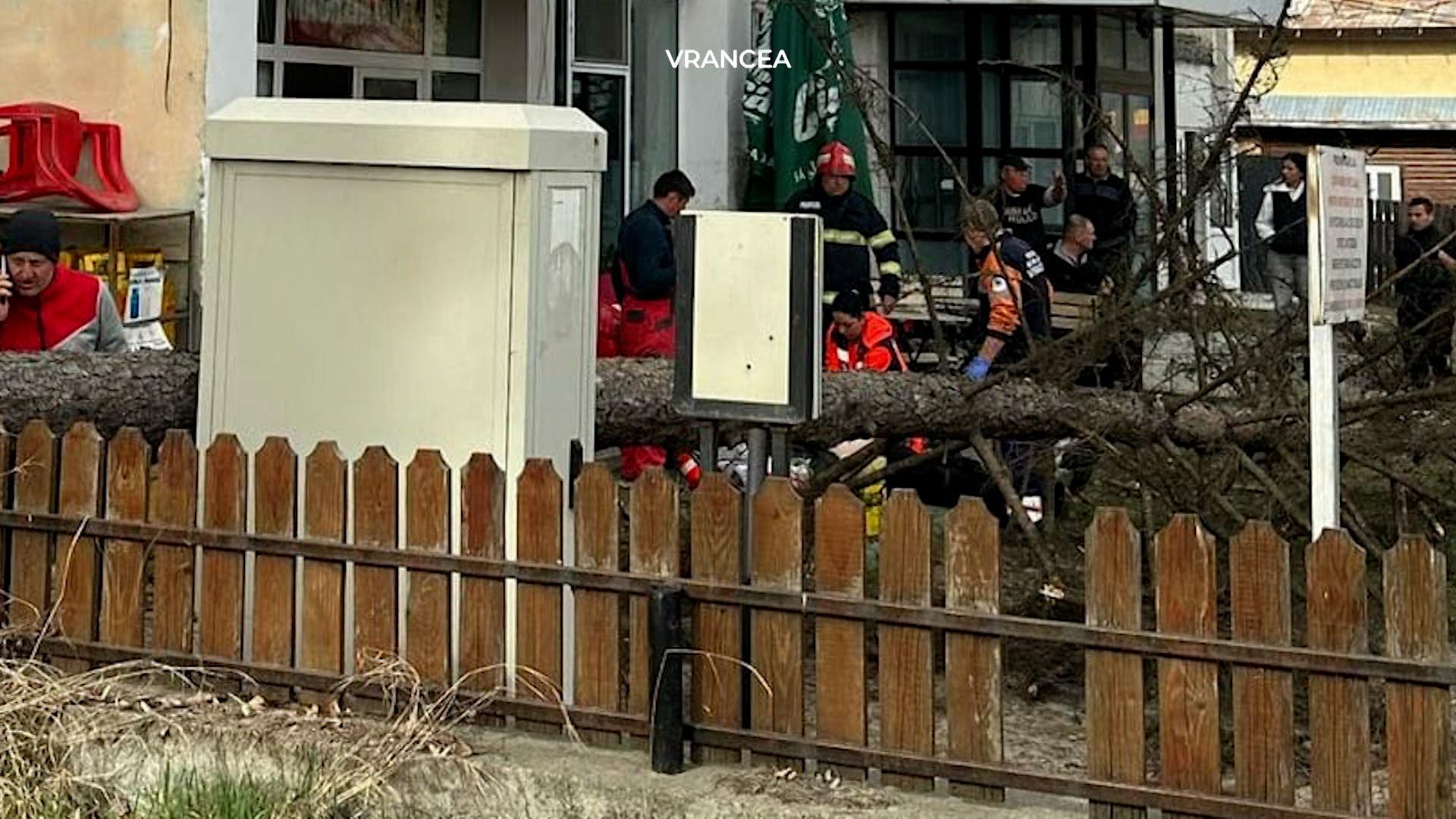 zone lovite de cod rosu