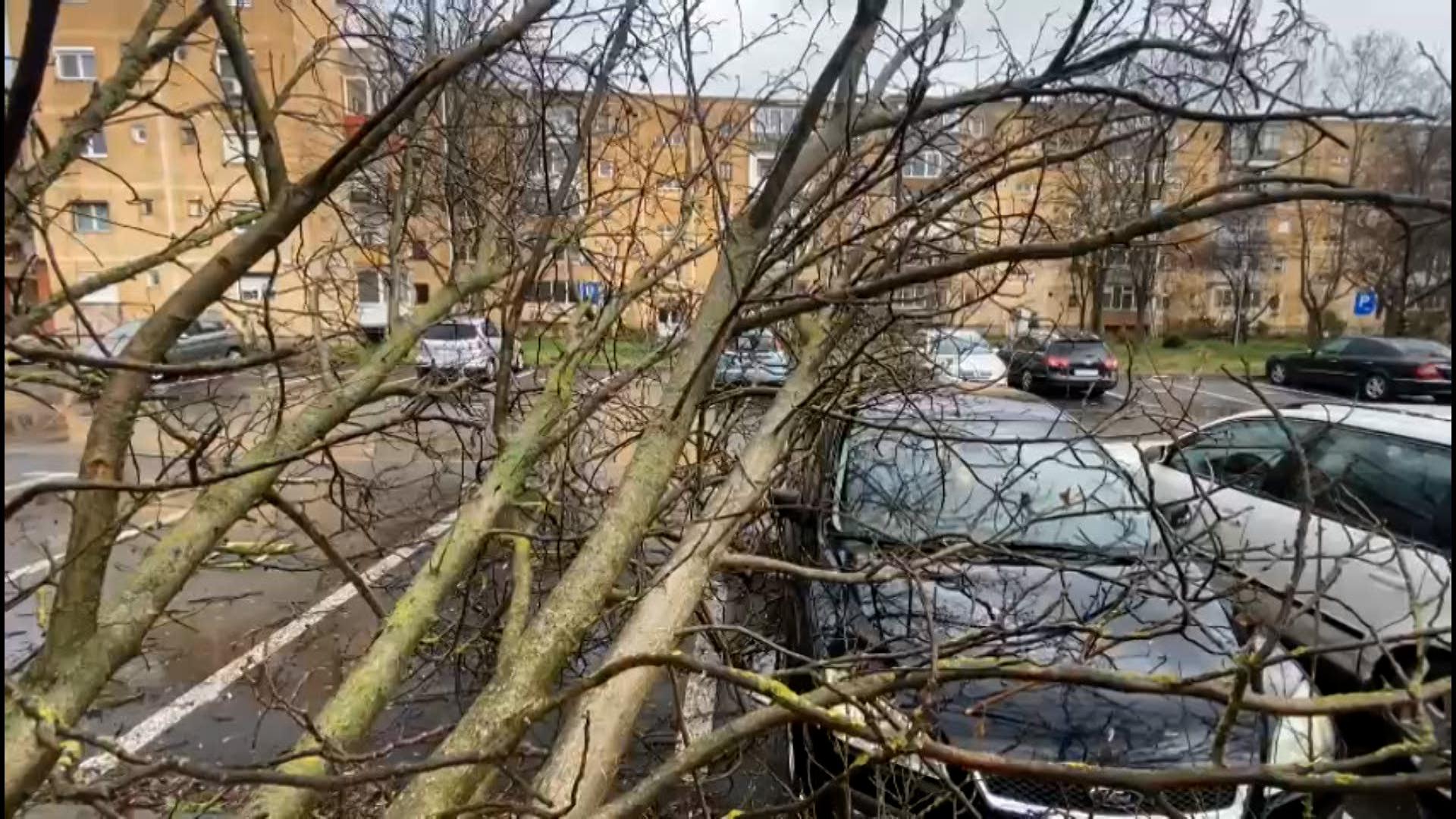 zone lovite de cod rosu