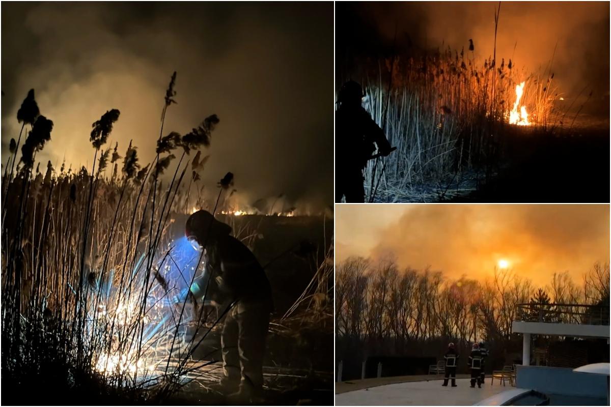 Incendiu de vegetaţie devastator, în Delta Dunării. Flăcările au mistuit 50 de hectare de pământ, în apropierea unui sat