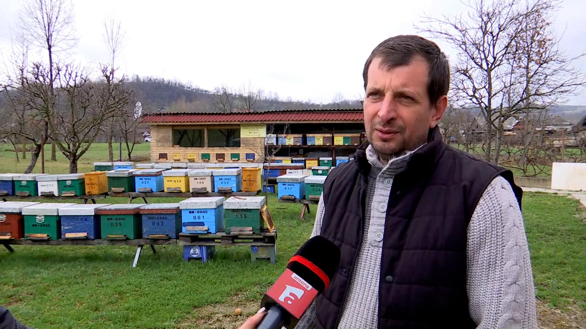 România este în top la producţia de miere în Uniunea Europeană şi se află pe locul doi, după Spania, în ceea ce priveşte numărul de stupi.