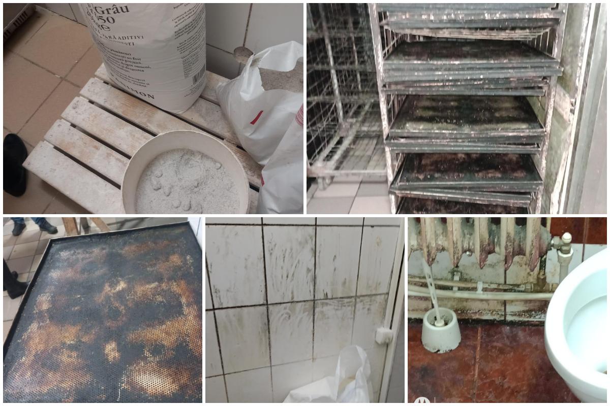 Brutărie din Iaşi, închisă de ANPC. Inspectorii, surprinşi de ce au descoperit: "Gândacii erau eclipsați de șobolani"