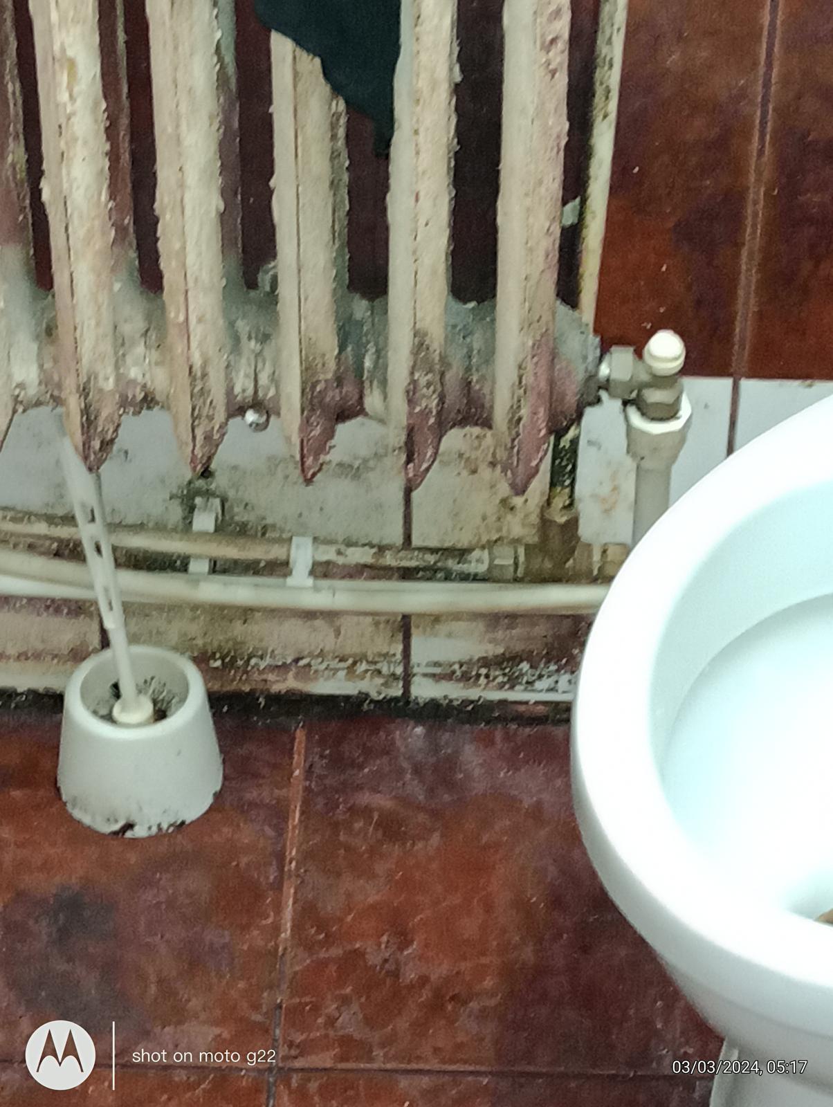 Brutărie din Iaşi, închisă de ANPC. Inspectorii, surprinşi de ce au descoperit: "Gândacii erau eclipsați de șobolani"