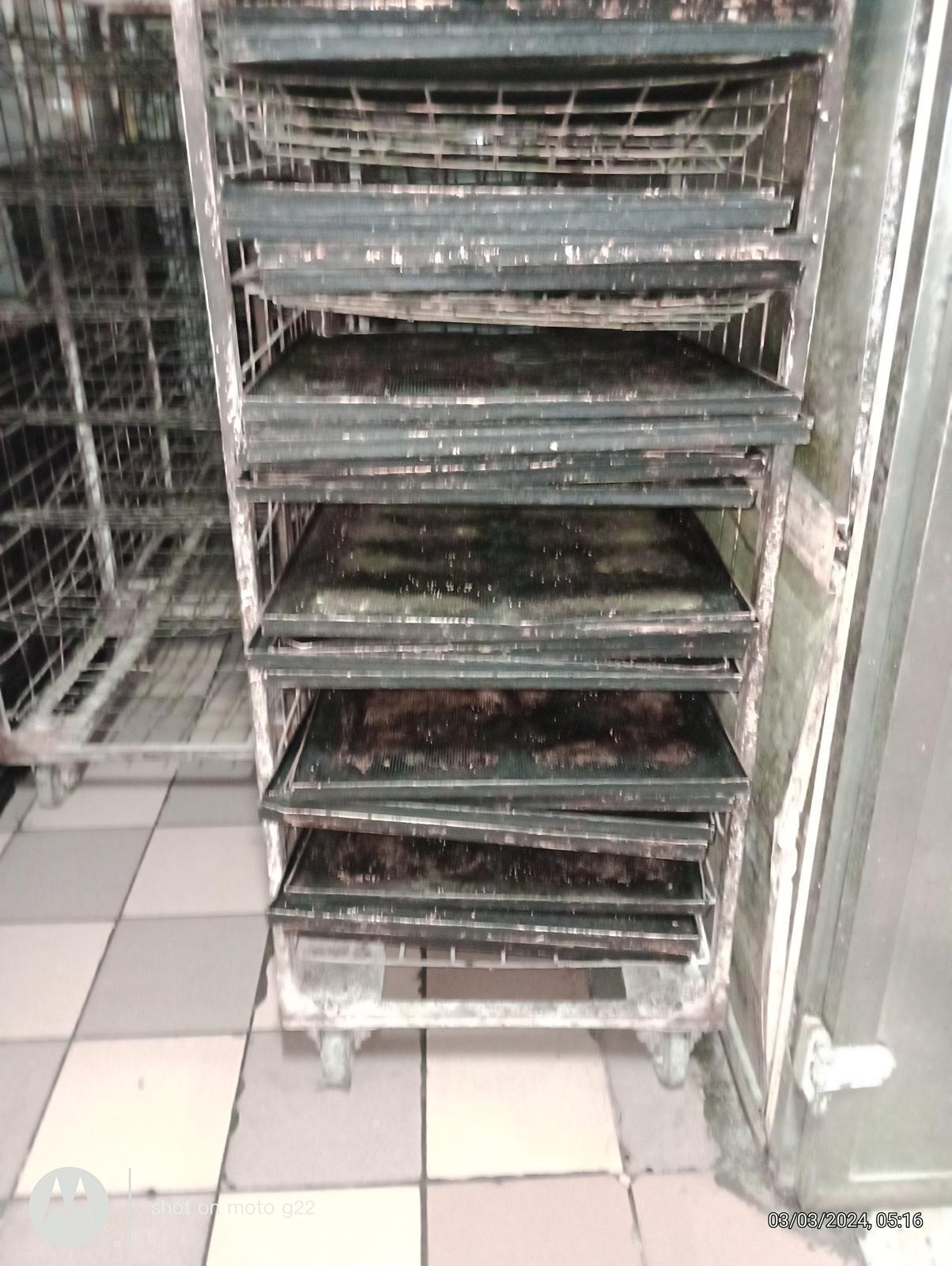 Brutărie din Iaşi, închisă de ANPC. Inspectorii, surprinşi de ce au descoperit: "Gândacii erau eclipsați de șobolani"