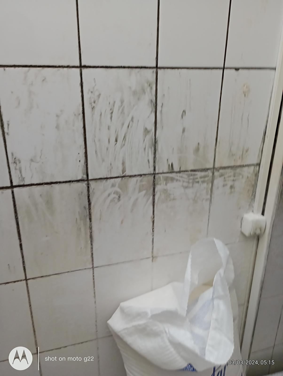 Brutărie din Iaşi, închisă de ANPC. Inspectorii, surprinşi de ce au descoperit: "Gândacii erau eclipsați de șobolani"