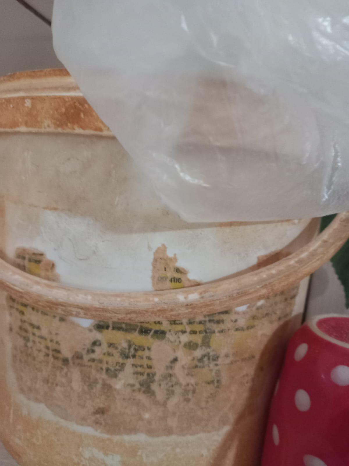 Brutărie din Iaşi, închisă de ANPC. Inspectorii, surprinşi de ce au descoperit: "Gândacii erau eclipsați de șobolani"